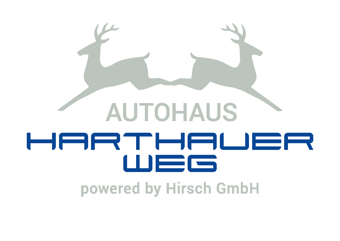 Logo Hyundai Autohaus Hirsch Chemnitz